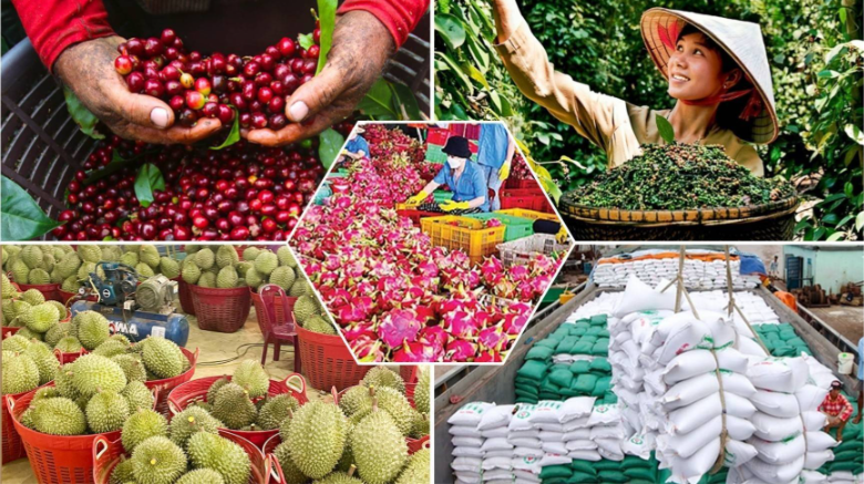 Doanh nghiệp xuất khẩu phải kiểm soát hàng hóa trước ''hàng rào'' SPS